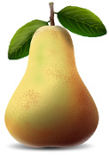 Pear shaped body shape
