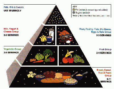 USDA Food Pyramid