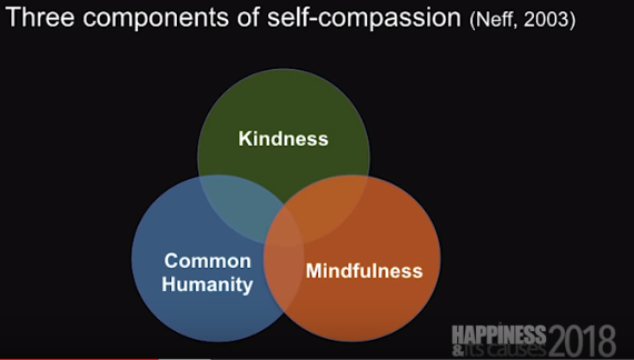 Components of Self-Compassion